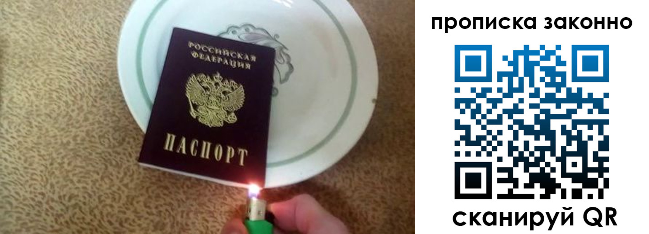 прописка поиск в Барыше
